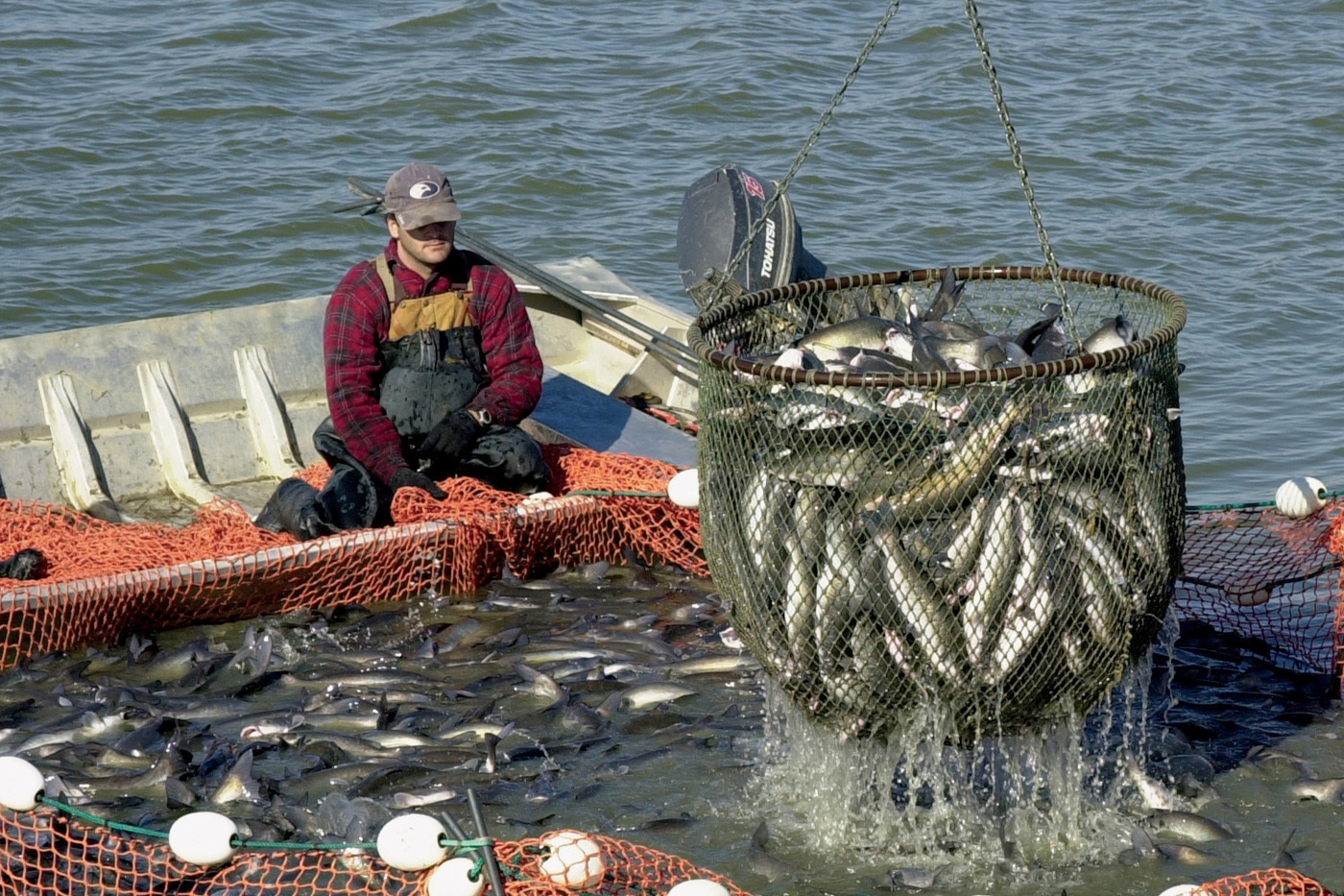 Nghề cá Mississippi, Louisiana đủ điều kiện nhận hỗ trợ thảm hoạ nghề cá