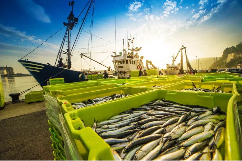 Nghị viện châu Âu bỏ phiếu về các quy tắc kiểm soát nghề cá mới