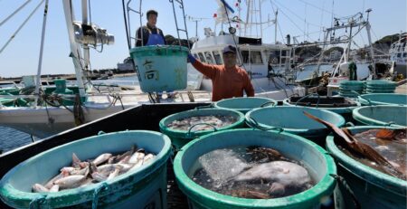 Nhật Bản gây áp lực lên Hàn Quốc để chấp nhận hải sản từ Fukushima