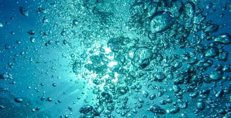Nồng độ oxy trong đại dương dự kiến ​giảm thêm 7% trong thế kỷ tới