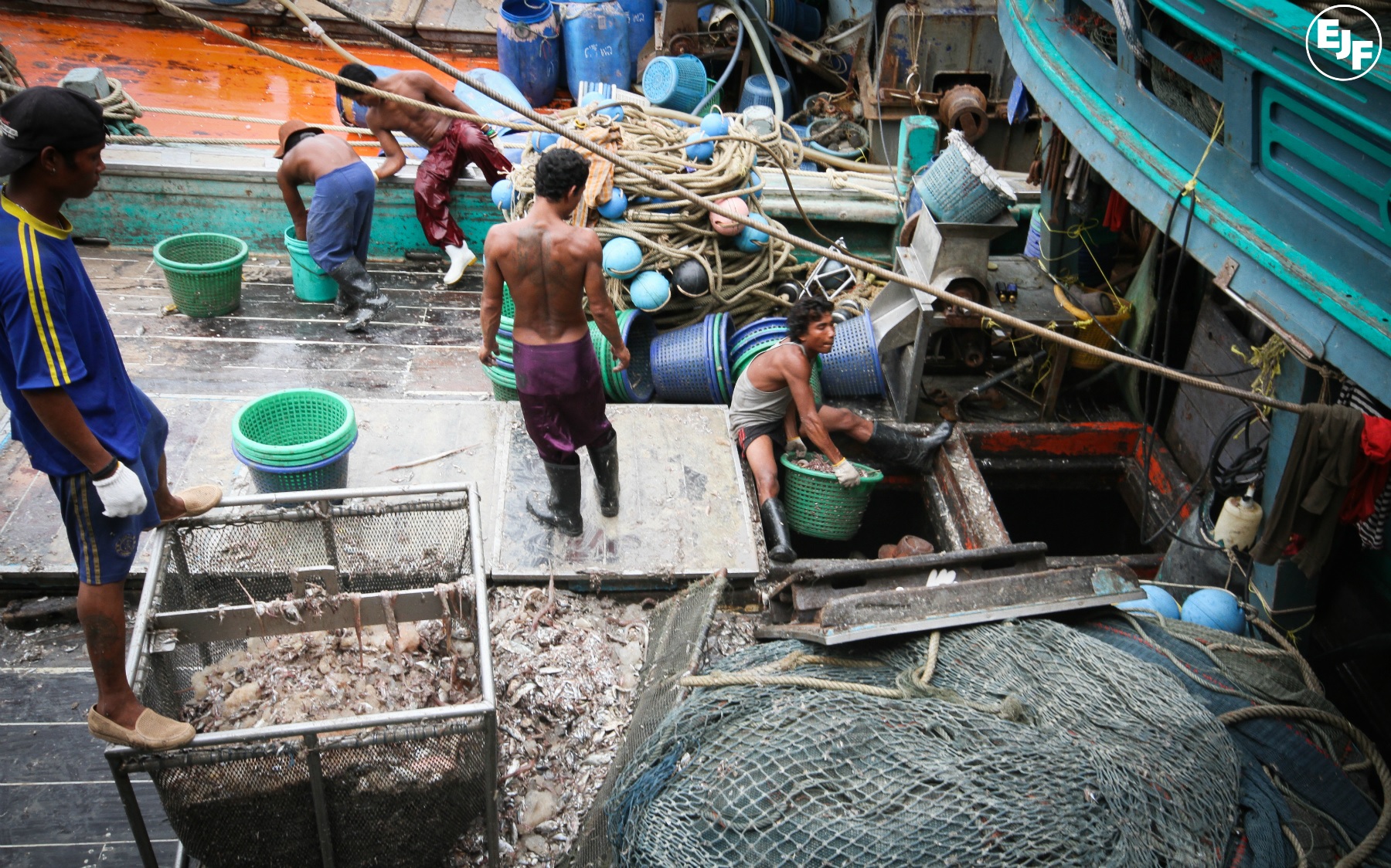 Vấn đề nhân quyền trong chuỗi giá trị thủy sản tiềm ẩn rủi ro pháp lý lớn