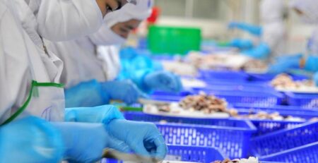 Xuất khẩu mực và bạch tuộc của Việt Nam 5 tháng đầu năm 2023