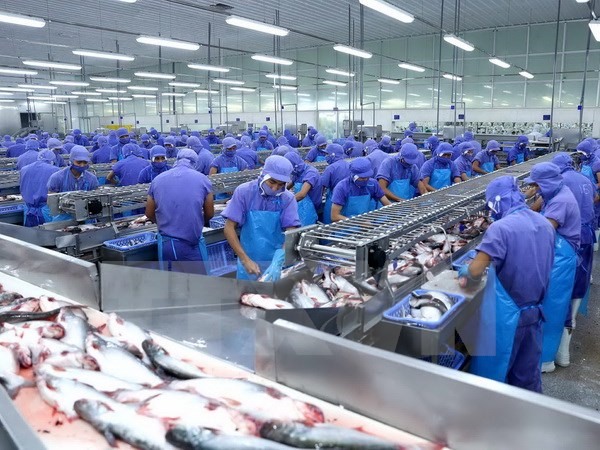 Xuất khẩu thủy sản Việt Nam 6 tháng đầu năm 2023