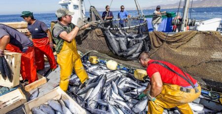 Các nước kêu gọi chấp nhận Hiệp định nghề cá của WTO