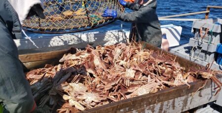 Lệnh cấm hải sản của Nga khiến doanh số bán cua của Na Uy tại Mỹ tăng vọt