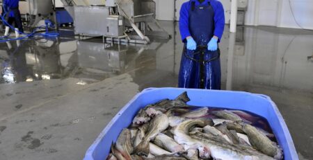 Nga phê duyệt danh mục sản phẩm thủy sản được khấu trừ thuế