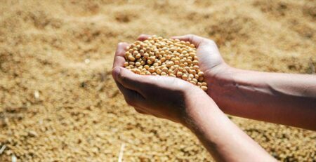 Trung Quốc kêu gọi tăng giá thức ăn thuỷ sản để tăng chất lượng